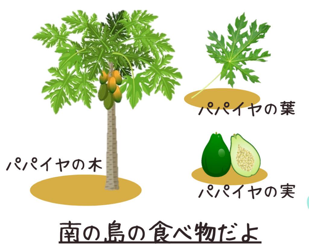 青パパイヤ＆フィンガーライム専門店-古賀萬壽果園