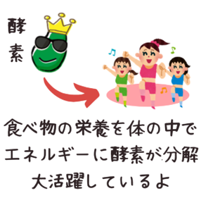 青パパイヤ＆フィンガーライム専門店-古賀萬壽果園